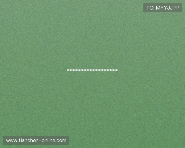 辉达娱乐携手星欧娱乐共庆世界杯盛事，打造最全赛事直播与精彩互动体验